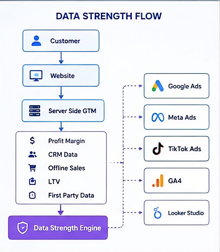 Data Strength 2 Data Strength - Image 2